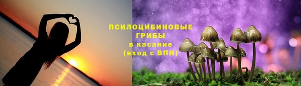дживик Нефтегорск