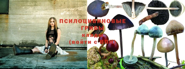 MDMA Premium VHQ Нея