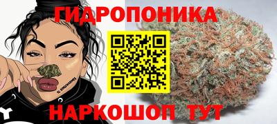 2c-b Заводоуковск