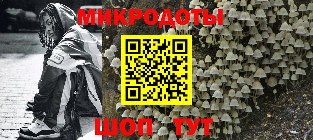 Галлюциногенные грибы мухоморы Мыски