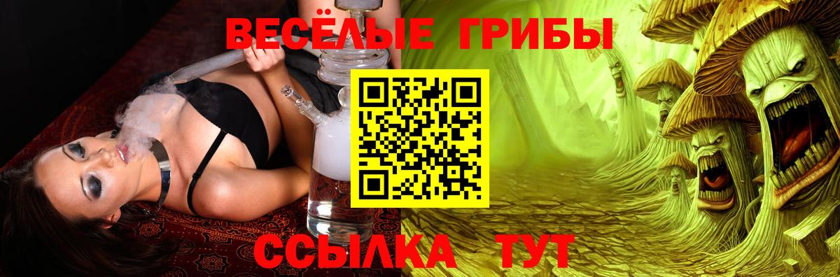 Галлюциногенные грибы Psilocybe  Вход с VPN  купить закладку  Псилоцибиновые грибы GOLDEN TEACHER  Мыски 